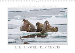 Kalender Emotionale Momente: Die Tierwelt der Arktis / CH-Version (Wandkalender 2023 DIN A3 quer) von Ingo Gerlach GDT