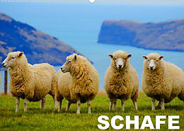 Kalender Schafe / Geburtstagskalender (Wandkalender 2023 DIN A2 quer) von Elisabeth Stanzer