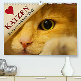 Kalender Katzen  Wie sie wirklich sind! (Premium, hochwertiger DIN A2 Wandkalender 2023, Kunstdruck in Hochglanz) von Elisabeth Stanzer