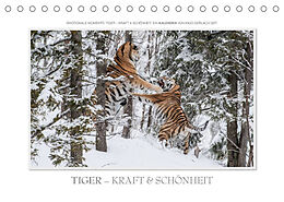 Kalender Emotionale Momente: Tiger - Kraft &amp; Schönheit. / CH-Version (Tischkalender 2023 DIN A5 quer) von Ingo Gerlach GDT