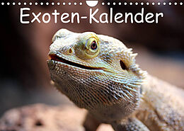 Kalender Exoten-Kalender (Wandkalender 2023 DIN A4 quer) von Bernd Witkowski