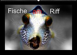 Kalender Fische am Riff (Wandkalender 2023 DIN A2 quer) von Bernd Witkowski