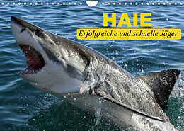Kalender Haie. Erfolgreiche und schnelle Jäger (Wandkalender 2023 DIN A4 quer) von Elisabeth Stanzer
