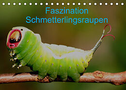 Kalender Faszination Schmetterlingsraupen (Tischkalender 2023 DIN A5 quer) von Winfried Erlwein