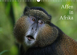 Kalender Affen in Afrika (Wandkalender 2023 DIN A3 quer) von Michael Herzog
