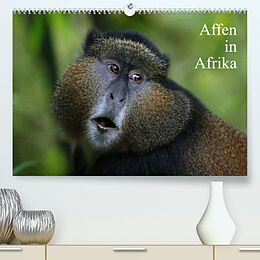 Kalender Affen in Afrika (Premium, hochwertiger DIN A2 Wandkalender 2023, Kunstdruck in Hochglanz) von Michael Herzog