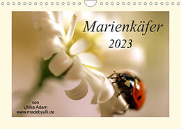 Kalender Marienkäfer / 2023 (Wandkalender 2023 DIN A4 quer) von Ulrike Adam, madebyulli.de