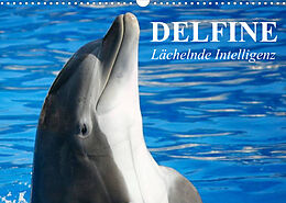 Kalender Delfine - Lächelnde Intelligenz (Wandkalender 2023 DIN A3 quer) von Elisabeth Stanzer