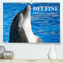 Kalender Delfine - Lächelnde Intelligenz (Premium, hochwertiger DIN A2 Wandkalender 2023, Kunstdruck in Hochglanz) von Elisabeth Stanzer