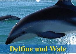 Kalender Delfine und Wale (Wandkalender 2023 DIN A3 quer) von Elisabeth Stanzer