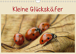 Kalender Kleine Glückskäfer (Wandkalender 2023 DIN A4 quer) von Judith Doberstein