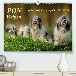 Kalender PON - Welpen, jeder Tag ein großes Abenteuer (Premium, hochwertiger DIN A2 Wandkalender 2023, Kunstdruck in Hochglanz) von Peter Roder