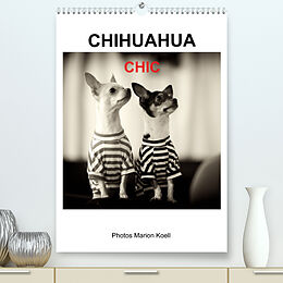 Kalender CHIHUAHUA CHIC Photos Marion Koell (Premium, hochwertiger DIN A2 Wandkalender 2023, Kunstdruck in Hochglanz) von Marion Koell