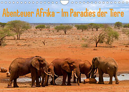 Kalender Abenteuer Afrika - Im Paradies der Tiere (Wandkalender 2023 DIN A4 quer) von Daniel Rohr
