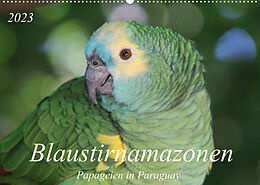 Kalender Blaustirnamazonen - Papageien in Paraguay (Wandkalender 2023 DIN A2 quer) von Bettina Schneider