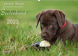 Kalender Labrador Welpe  Seelenhund (Wandkalender 2023 DIN A2 quer) von Petra Schiller