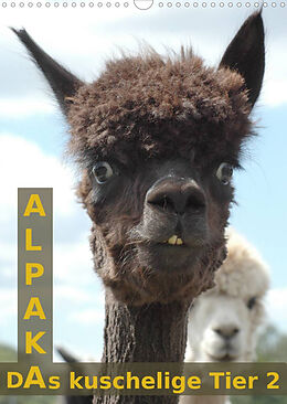 Kalender Alpaka, das kuschelige Tier 2 (Wandkalender 2023 DIN A3 hoch) von Peter Brömstrup