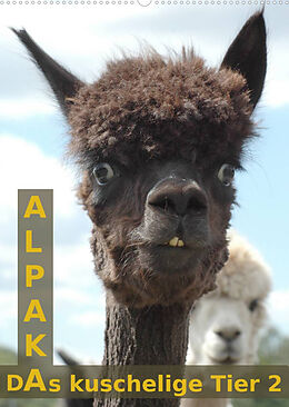 Kalender Alpaka, das kuschelige Tier 2 (Wandkalender 2023 DIN A2 hoch) von Peter Brömstrup