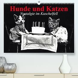 Kalender Hunde und Katzen - Nostalgie im Kuschelfell (Premium, hochwertiger DIN A2 Wandkalender 2023, Kunstdruck in Hochglanz) von Elisabeth Stanzer