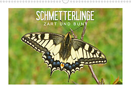 Kalender Schmetterlinge: zart und bunt (Wandkalender 2023 DIN A3 quer) von Karl-Hermann Althaus