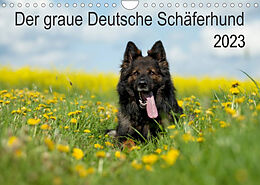 Kalender Der graue Deutsche Schäferhund (Wandkalender 2023 DIN A4 quer) von Petra Schiller