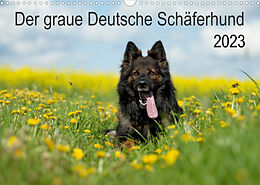 Kalender Der graue Deutsche Schäferhund (Wandkalender 2023 DIN A3 quer) von Petra Schiller