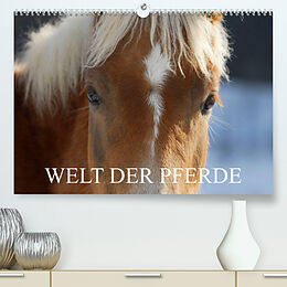 Kalender Welt der Pferde (Premium, hochwertiger DIN A2 Wandkalender 2023, Kunstdruck in Hochglanz) von Sigrid Starick