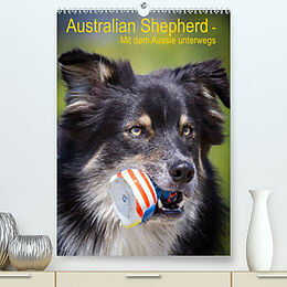 Kalender Australian Shepherd  Mit dem Aussie unterwegs (Premium, hochwertiger DIN A2 Wandkalender 2023, Kunstdruck in Hochglanz) von Andrea Mayer Tierfotografie