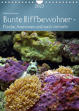 Kalender Bunte Riffbewohner - Fische, Anemonen und noch viel mehr (Wandkalender 2023 DIN A4 hoch) von Bianca Schumann