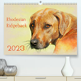 Kalender Rhodesian Ridgeback 2023 (Premium, hochwertiger DIN A2 Wandkalender 2023, Kunstdruck in Hochglanz) von Andrea Redecker