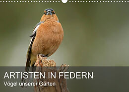 Kalender Artisten in Federn - Vögel unserer Gärten (Wandkalender 2023 DIN A3 quer) von Alexander Krebs