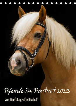 Kalender Pferde im Portait (Tischkalender 2023 DIN A5 hoch) von Tierfotografie Bischof, Melanie Bischof