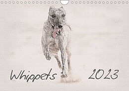 Kalender Whippet 2023 (Wandkalender 2023 DIN A4 quer) von Andrea Redecker