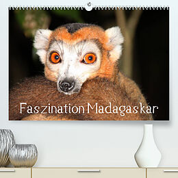 Kalender Faszination Madagaskar (Premium, hochwertiger DIN A2 Wandkalender 2023, Kunstdruck in Hochglanz) von Karsten-Thilo Raab