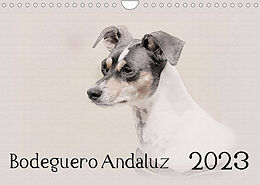 Kalender Bodeguero Andaluz 2023 (Wandkalender 2023 DIN A4 quer) von Andrea Redecker