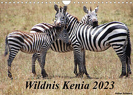 Kalender Wildnis Kenia 2023 (Wandkalender 2023 DIN A4 quer) von Rainer Schwarz
