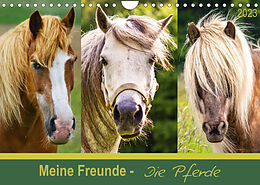 Kalender Meine Freunde - die Pferde (Wandkalender 2023 DIN A4 quer) von Angela Dölling, AD DESIGN Photo + PhotoArt