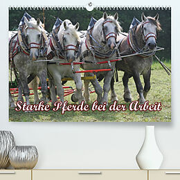 Kalender Starke Pferde bei der Arbeit (Premium, hochwertiger DIN A2 Wandkalender 2023, Kunstdruck in Hochglanz) von Antje Lindert-Rottke
