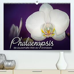 Kalender Phalaenopsis - die zauberhafte Welt der Orchideen (Premium, hochwertiger DIN A2 Wandkalender 2023, Kunstdruck in Hochglanz) von Deborah Strehl