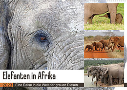 Kalender Elefanten in Afrika (Wandkalender 2023 DIN A2 quer) von Michael Herzog