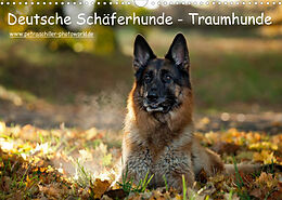 Kalender Deutsche Schäferhunde - Traumhunde (Wandkalender 2023 DIN A3 quer) von Petra Schiller