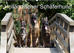 Kalender Holländischer Schäferhund (Wandkalender 2023 DIN A2 quer) von Fotodesign Verena Scholze