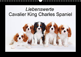 Kalender Liebenswerte Cavalier King Charles Spaniel (Wandkalender 2023 DIN A3 quer) von Petra Wegner