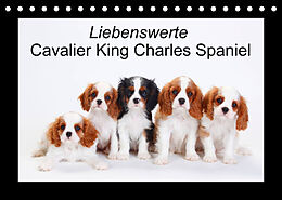 Kalender Liebenswerte Cavalier King Charles Spaniel (Tischkalender 2023 DIN A5 quer) von Petra Wegner
