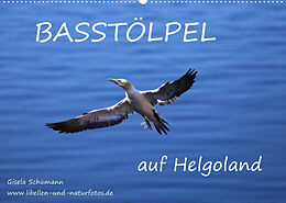 Kalender Basstölpel auf Helgoland (Wandkalender 2023 DIN A2 quer) von Gisela Schümann