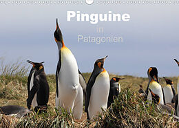 Kalender Pinguine in Patagonien (Wandkalender 2023 DIN A3 quer) von Ute Köhler, Clemens Göb
