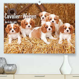 Kalender Mit Cavalier-Welpen durch das Jahr (Premium, hochwertiger DIN A2 Wandkalender 2023, Kunstdruck in Hochglanz) von Petra Wegner