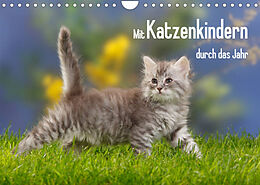 Kalender Mit Katzenkindern durch das Jahr (Wandkalender 2023 DIN A4 quer) von Petra Wegner