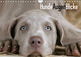 Kalender HundeAugenBlicke (Wandkalender 2023 DIN A4 quer) von Petra Wegner