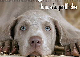 Kalender HundeAugenBlicke (Wandkalender 2023 DIN A3 quer) von Petra Wegner